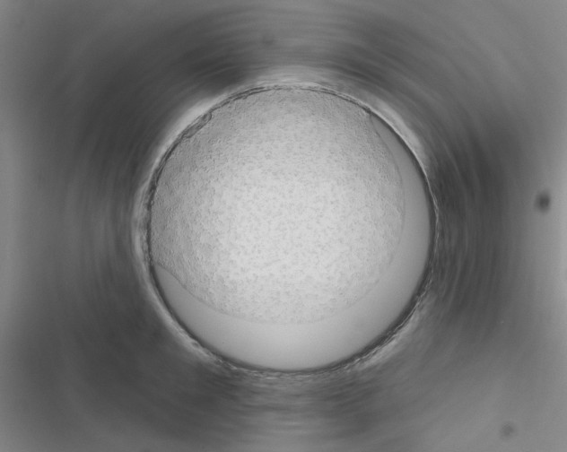 X0000116550901201001211159