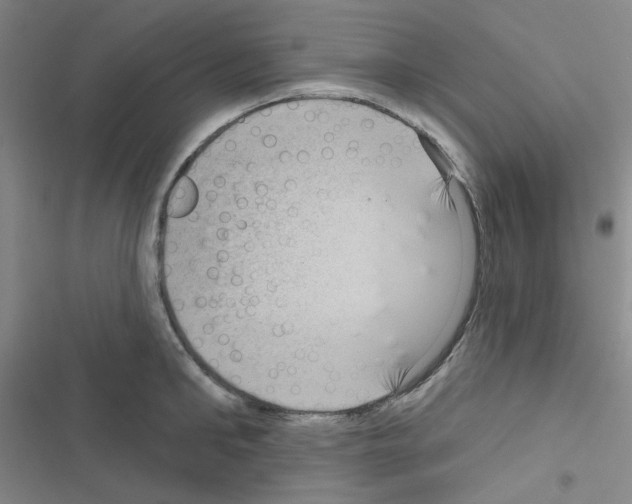 X0000116550902201001211159