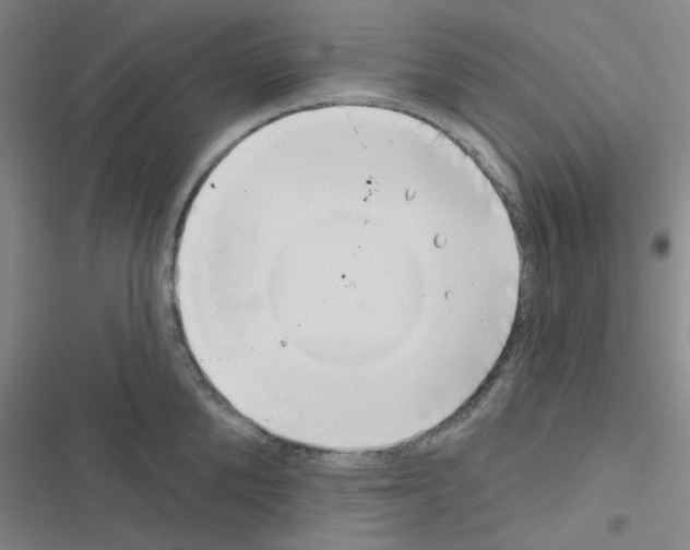 X0000116550904201001211159