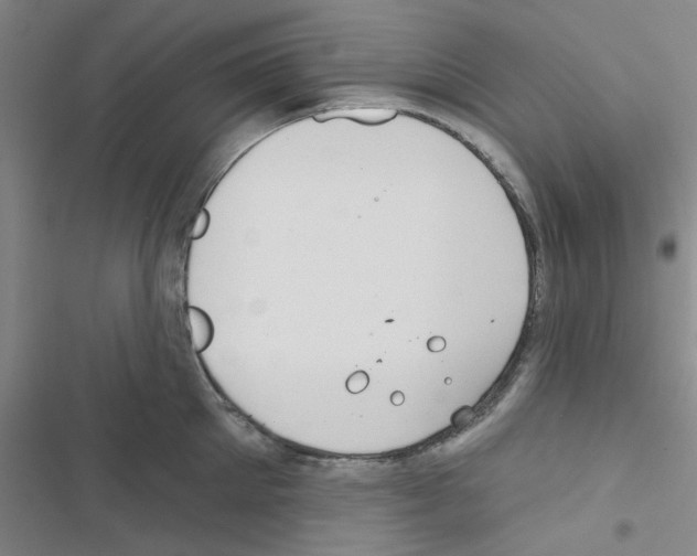 X0000116550905201001211159