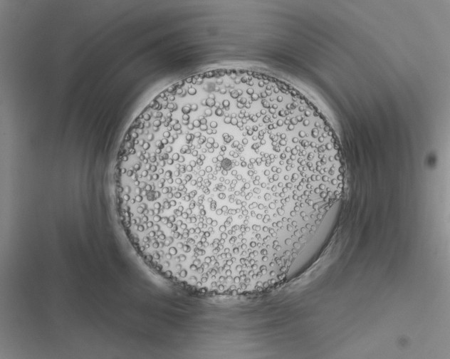 X0000116550906201001211159