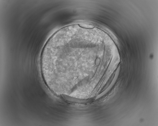 X0000116550907201001211159