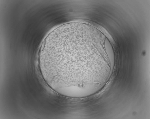 X0000116550908201001211159