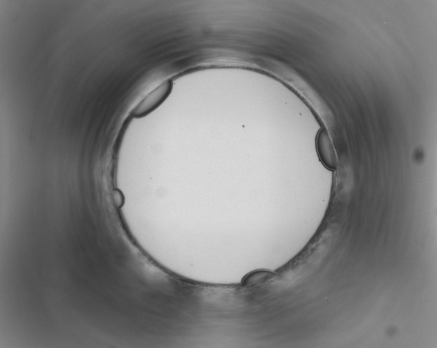 X0000116550909201001211159