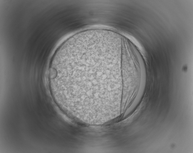 X0000116550910201001211159