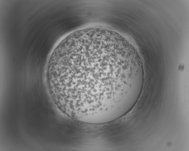 X0000116550912201001211159