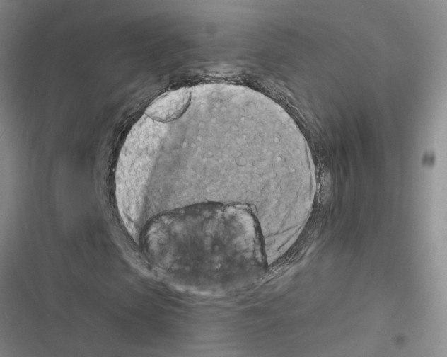 X0000116550913201001211158