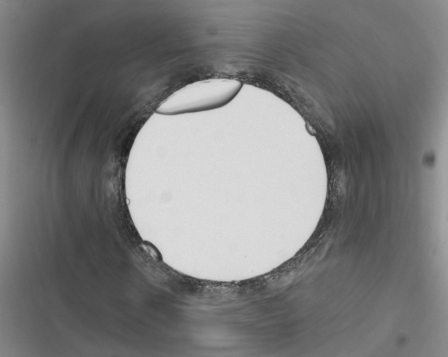 X0000116550914201001211158