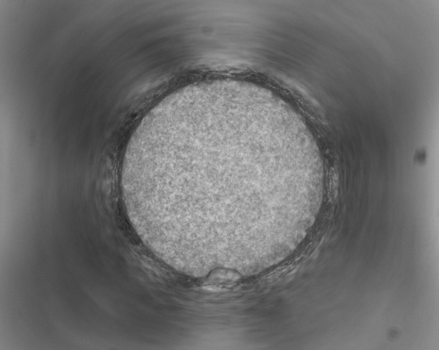 X0000116550917201001211158