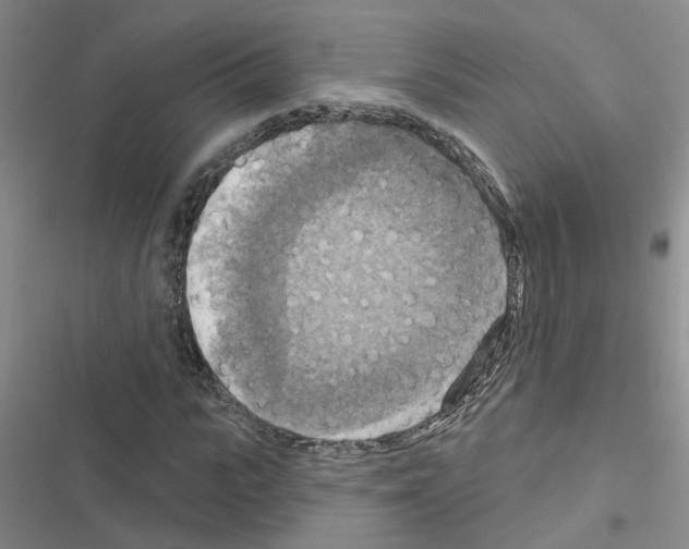 X0000116550919201001211158