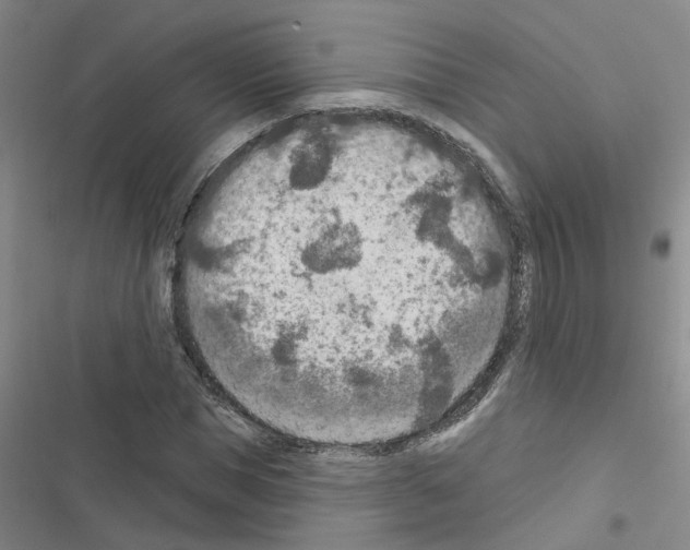 X0000116550921201001211158