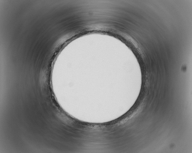 X0000116550922201001211158