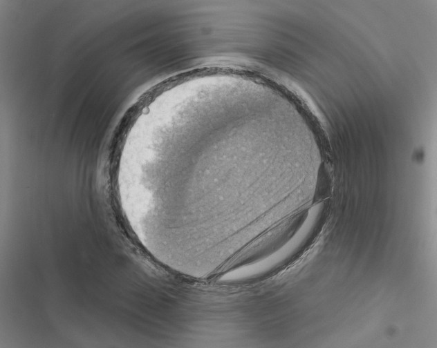 X0000116550923201001211158