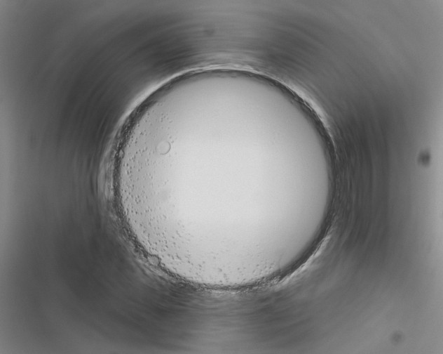 X0000116550925201001211158