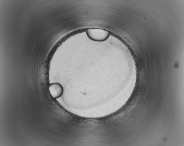 X0000116550926201001211158