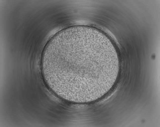 X0000116550930201001211159