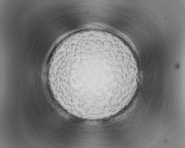 X0000116550931201001211159