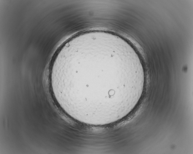 X0000116550933201001211159