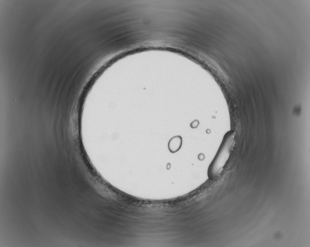 X0000116550934201001211159