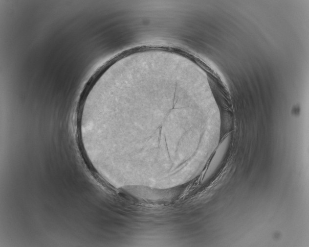 X0000116550935201001211159