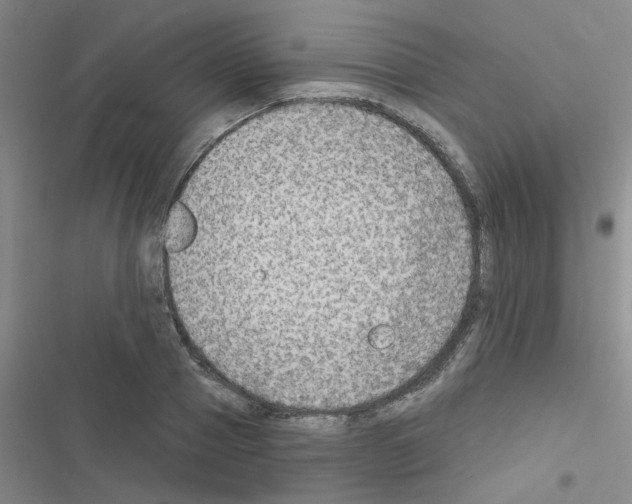 X0000116550937201001211159