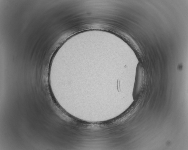 X0000116550938201001211159