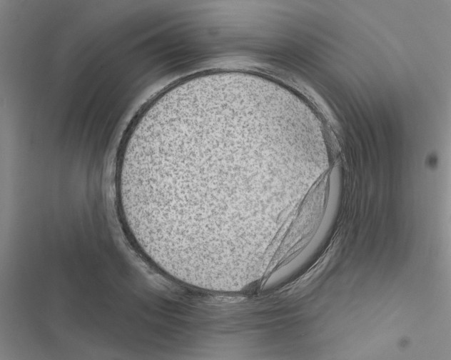 X0000116550939201001211159