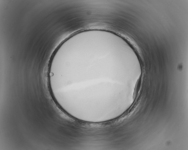 X0000116550941201001211159