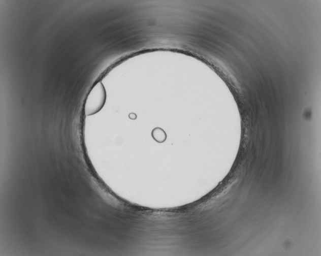 X0000116550942201001211159