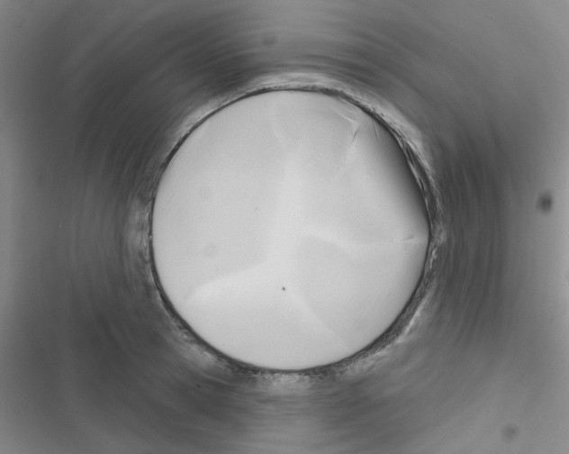 X0000116550945201001211159