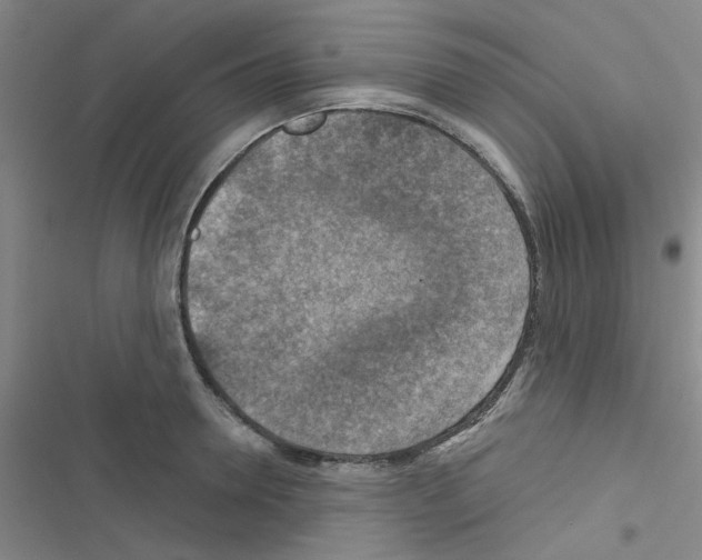 X0000116550946201001211159