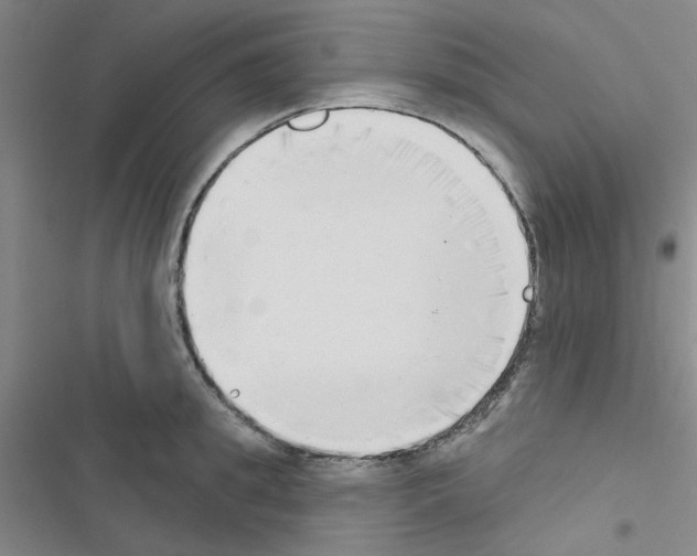 X0000116550949201001211159