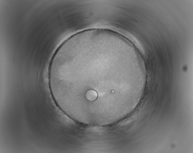 X0000116550950201001211159