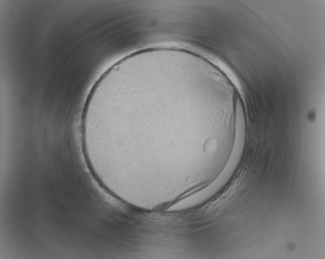 X0000116550951201001211159