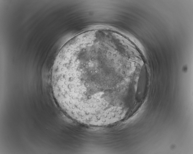 X0000116550953201001211159