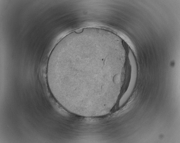 X0000116550954201001211159