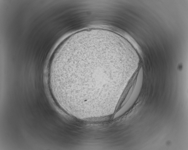 X0000116550955201001211159