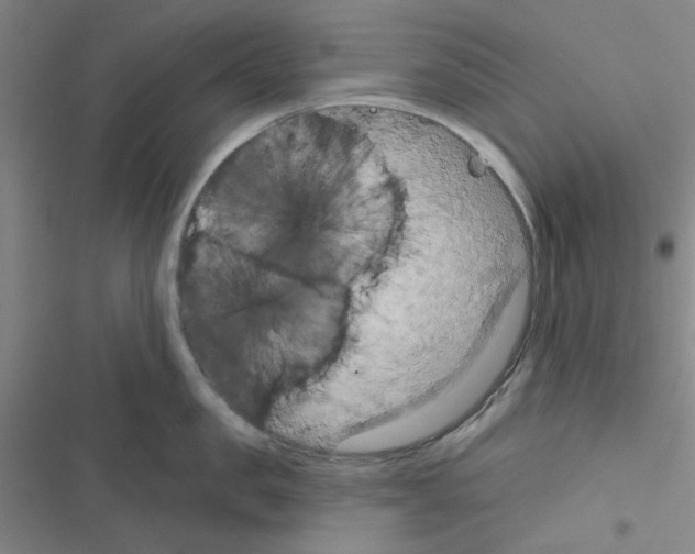 X0000116550957201001211159