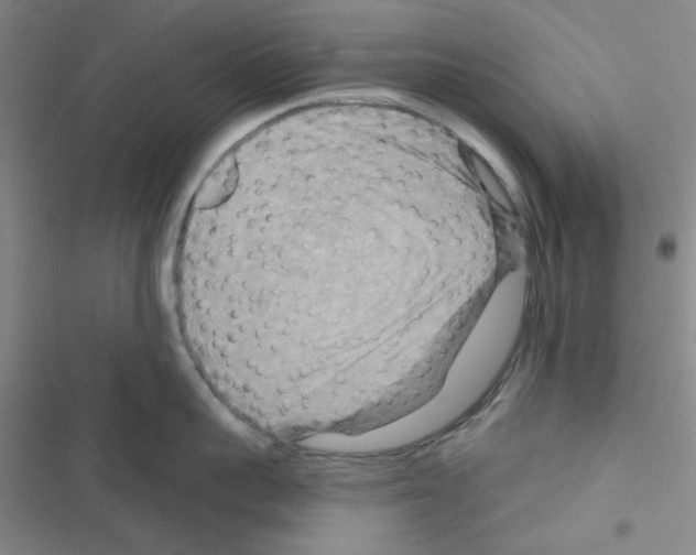 X0000116550959201001211159