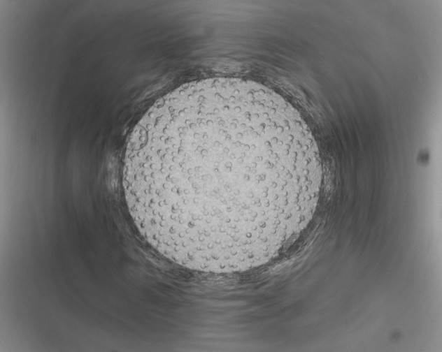 X0000116550962201001211158