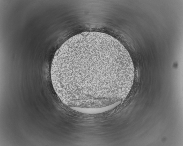 X0000116550963201001211158