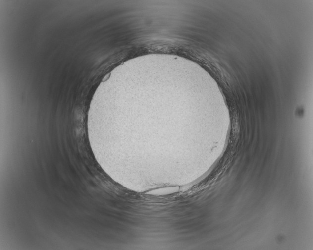 X0000116550964201001211158