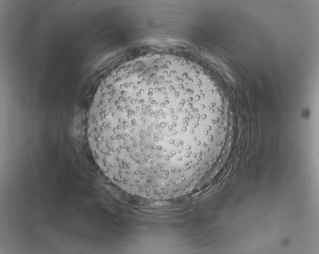 X0000116550966201001211158