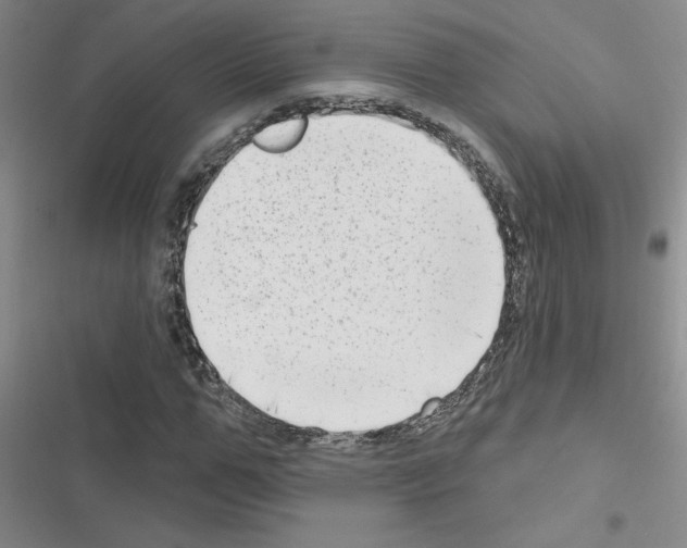 X0000116550967201001211158