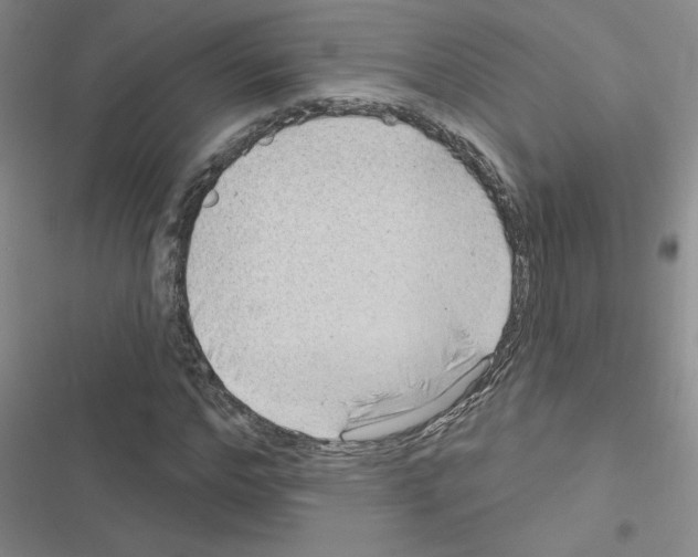 X0000116550968201001211158