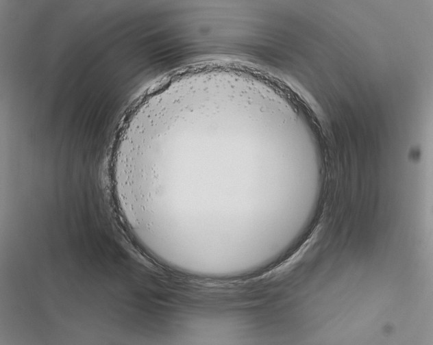 X0000116550969201001211158