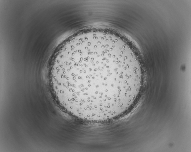 X0000116550970201001211158