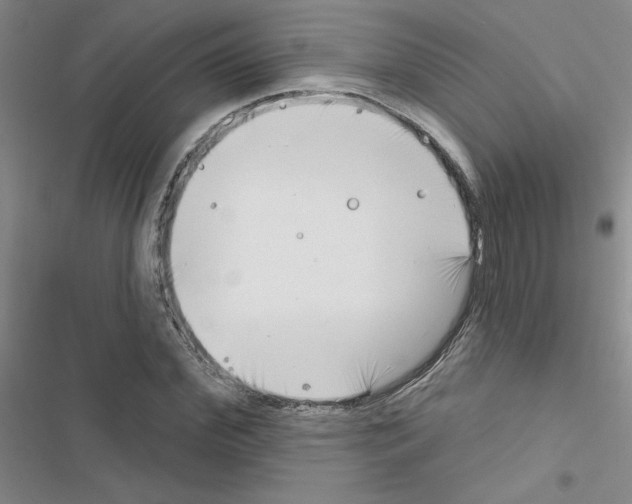 X0000116550972201001211158