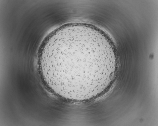 X0000116550974201001211158