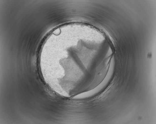 X0000116550975201001211158